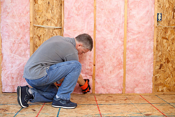 Best DIY Insulation Kits and Guidance in Trophy Clu, TX