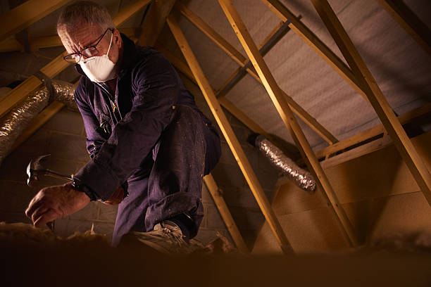 Best Insulation for Specific Applications in Trophy Clu, TX